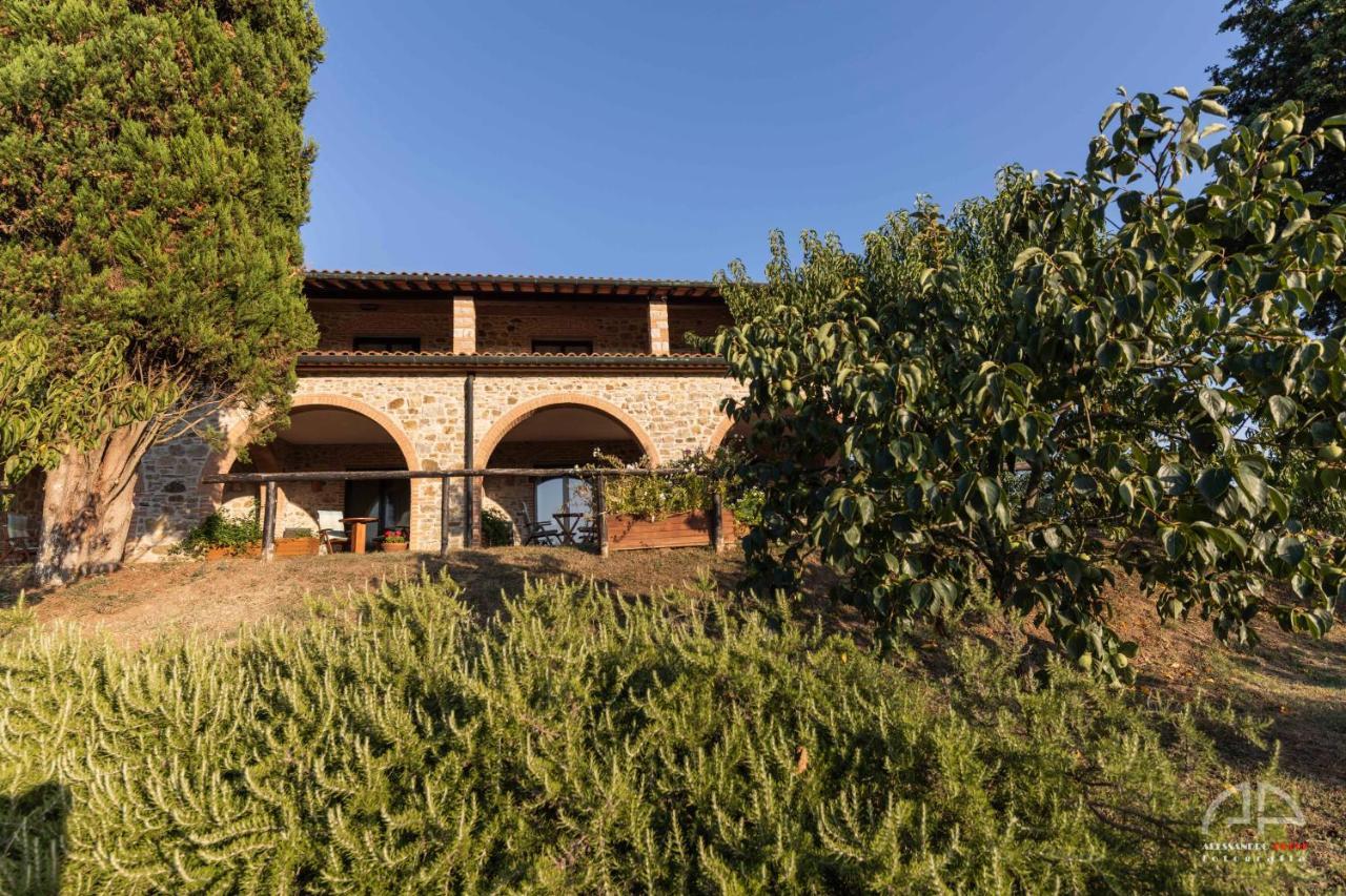 Villa Sant Anna Sassetta Exteriér fotografie